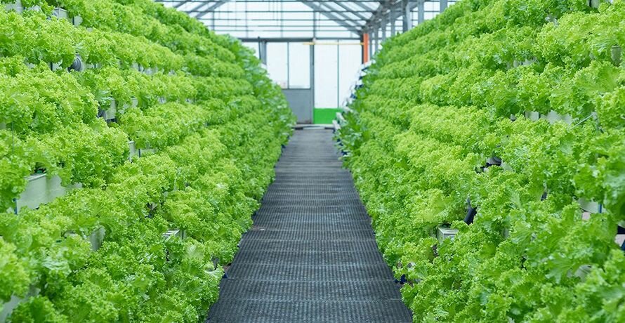 Brno, Czech Republic